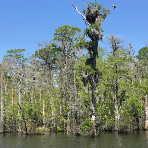 Meet your Posher, Anny - Picture 1 of 1